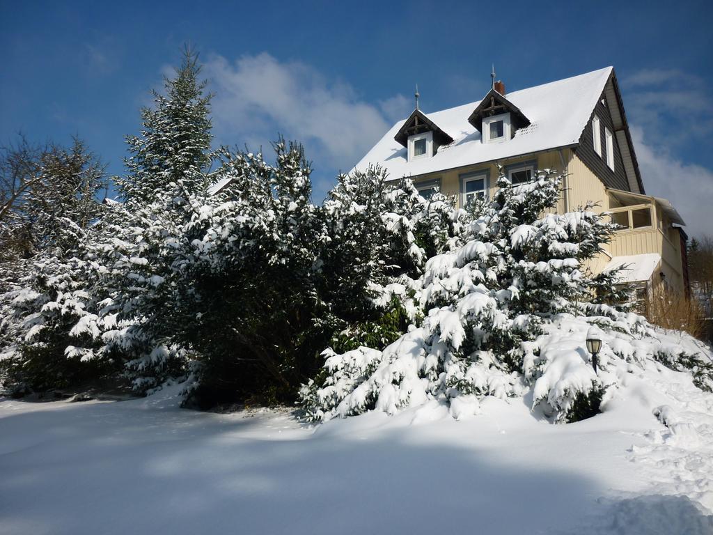 Pension Haus Martha Bad Grund Exteriör bild